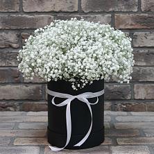 Цветочная композиция из Гипсофила в шляпной коробке в Елизаветино